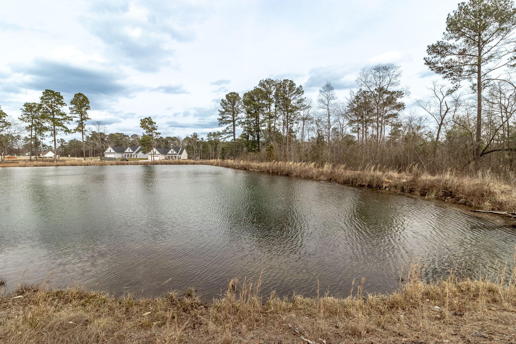 369 Dove Lake Drive