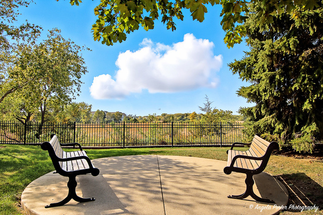 1477 W Sedgewood Court