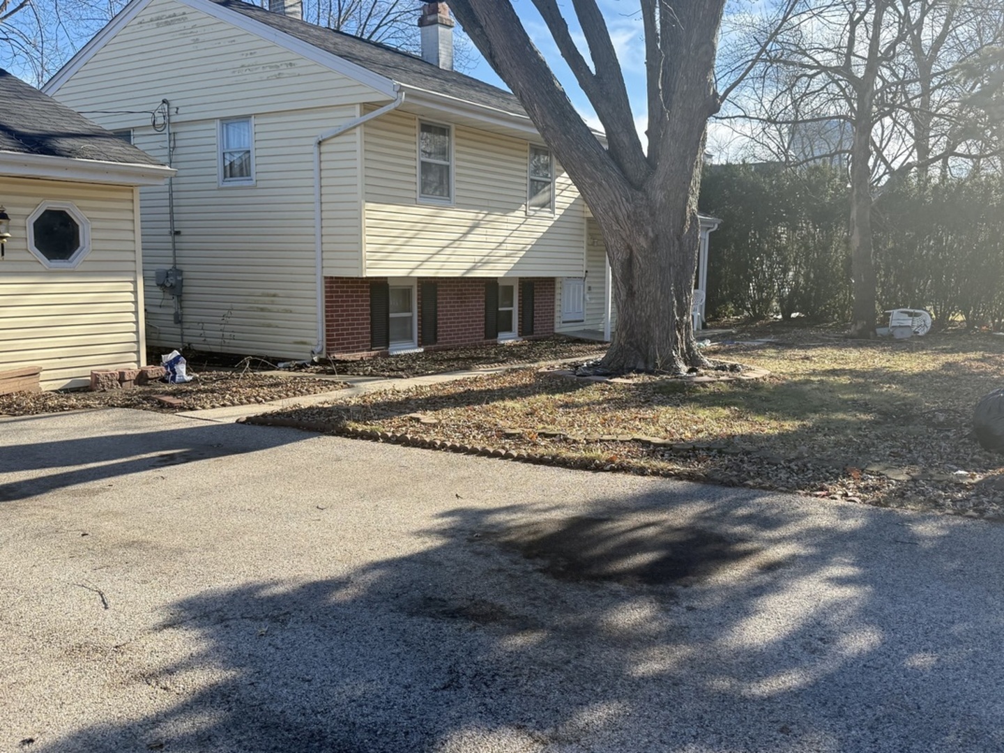 1115 Lotus Drive