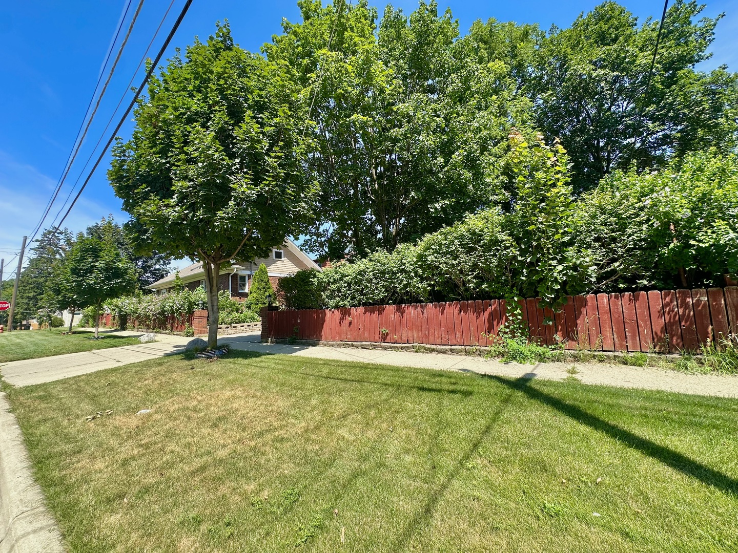 85 WILCOX Avenue