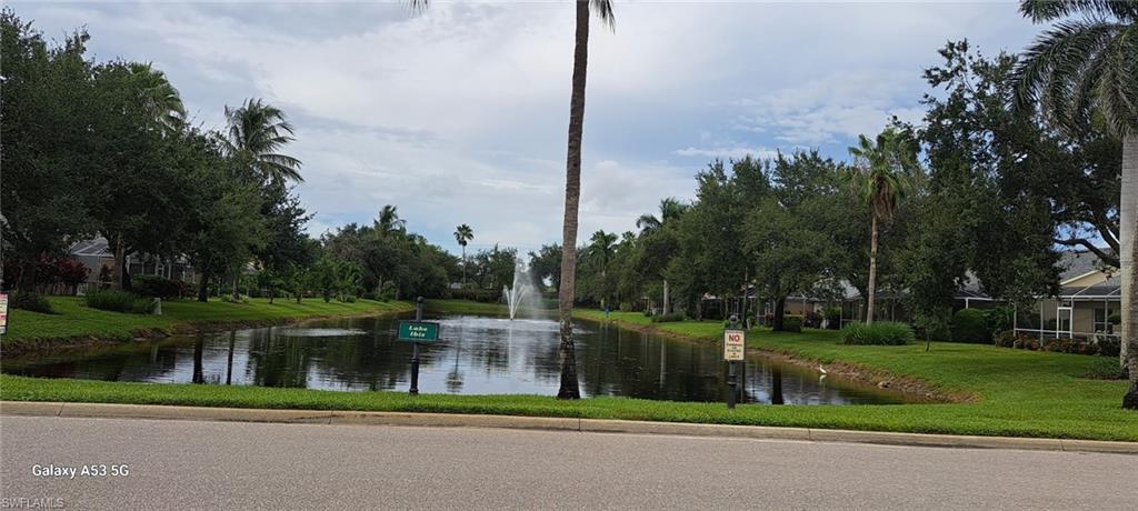 8211 Ibis Cove CIR # A119