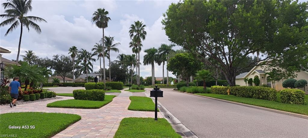 8211 Ibis Cove CIR A119