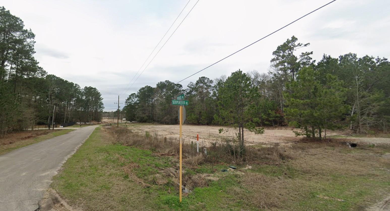 19131 Serpenteer Drive