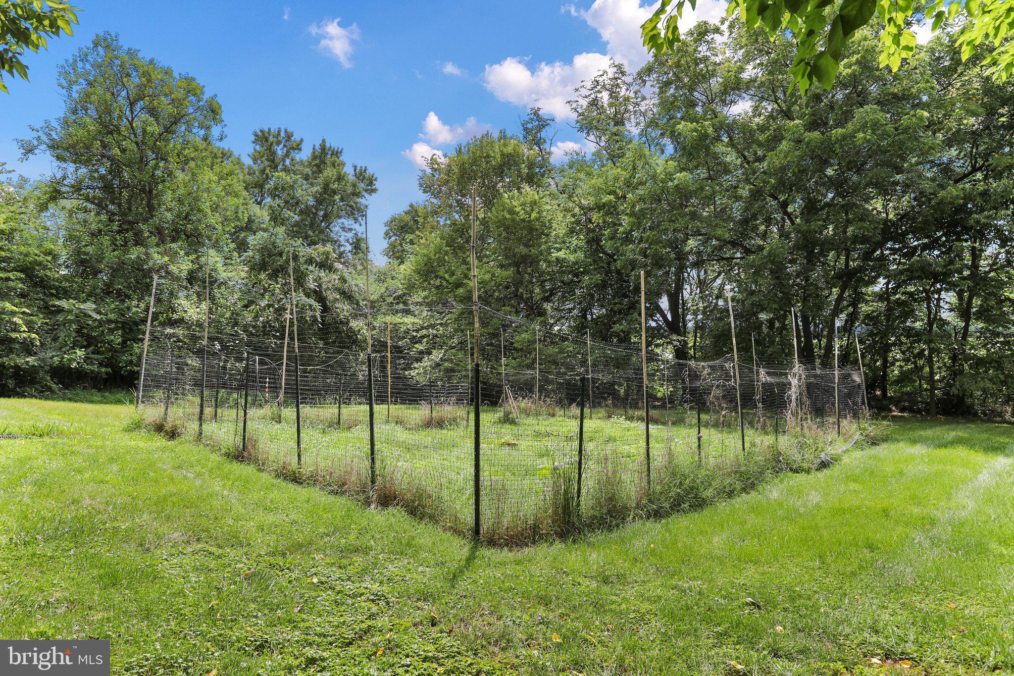 62 Vanderveer Ln