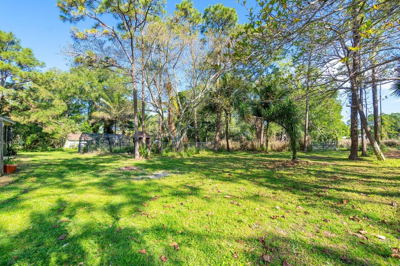 11715 52nd Road N