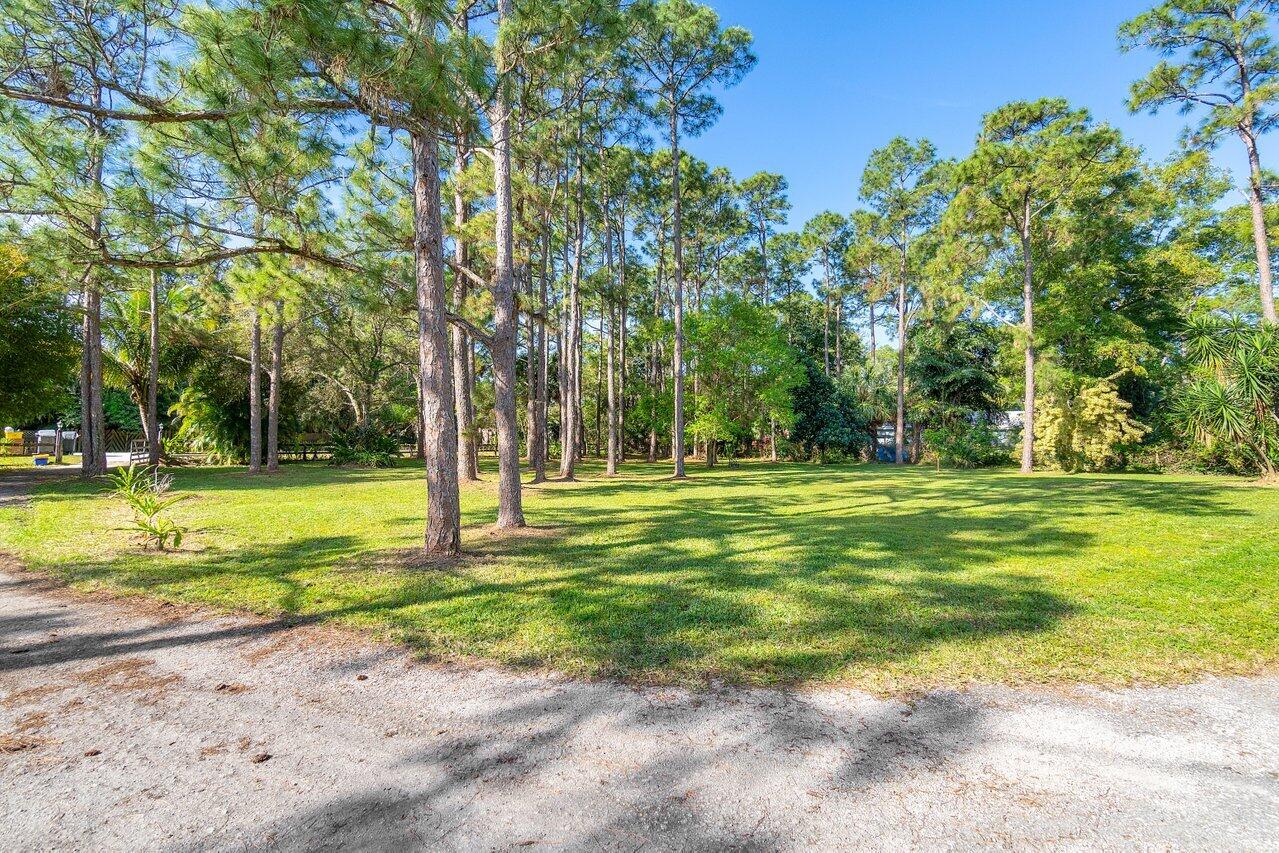 11715 52nd Road N