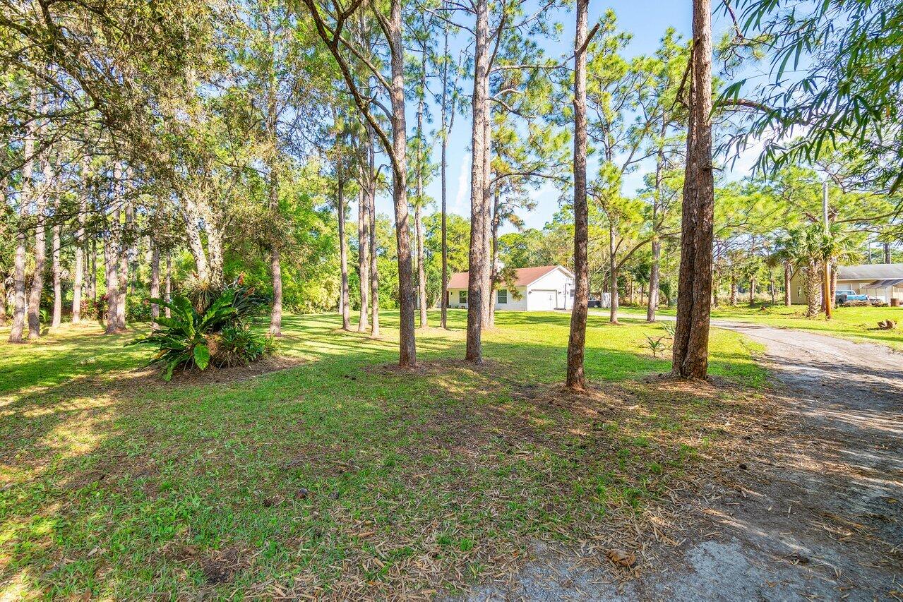 11715 52nd Road N
