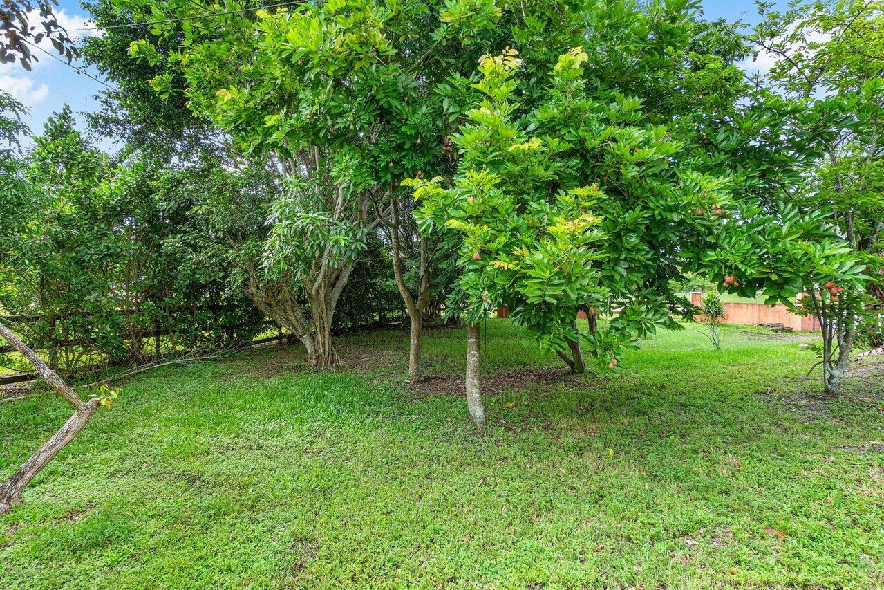 12417 Key Lime Boulevard