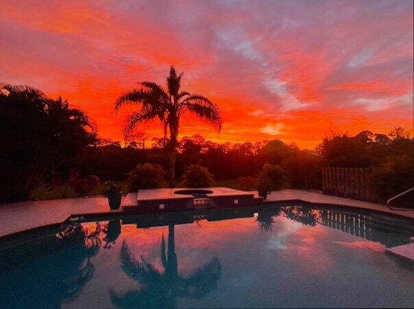 7166 Avocado Boulevard