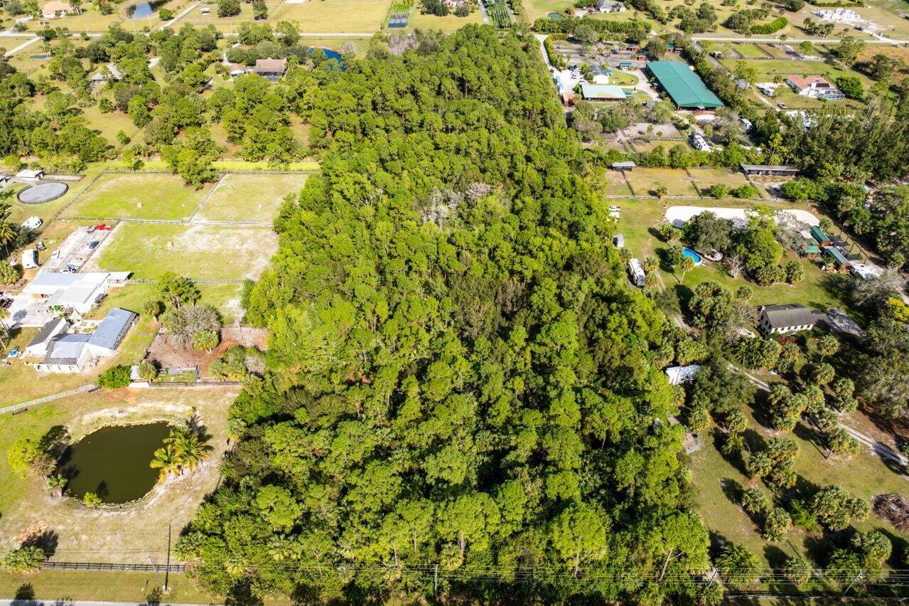 Xxxx W Sycamore Drive