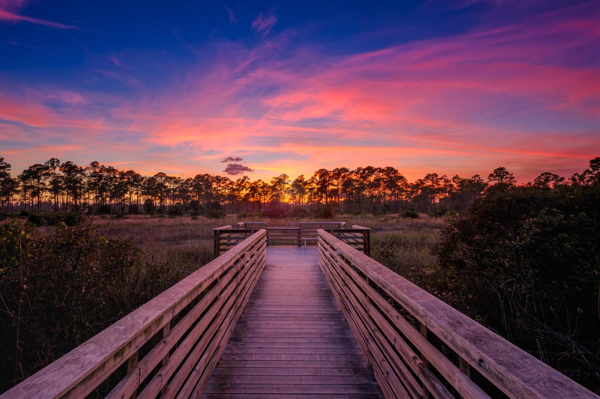 Xxxx W Sycamore Drive