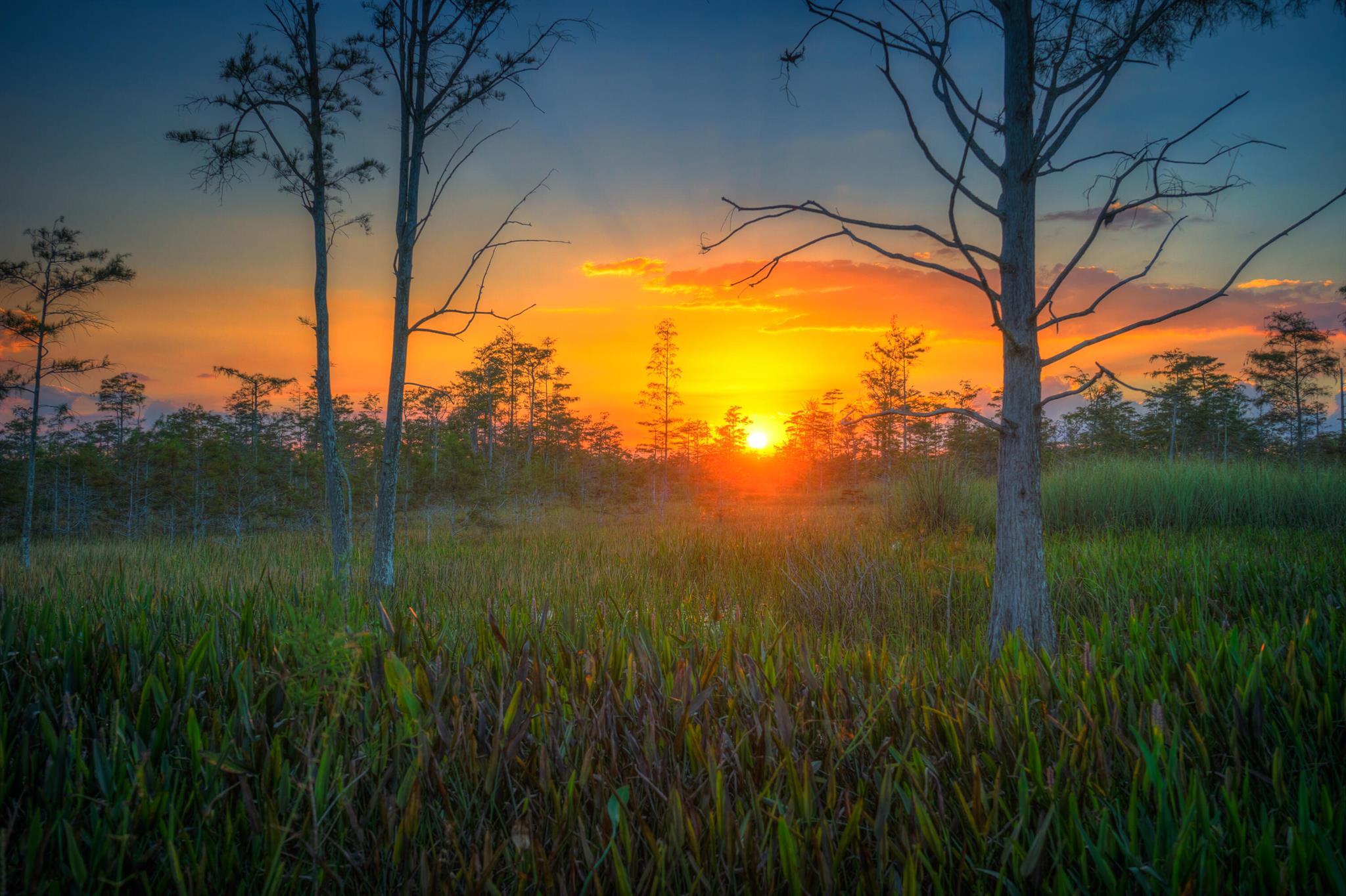 Xxxx W Sycamore Drive