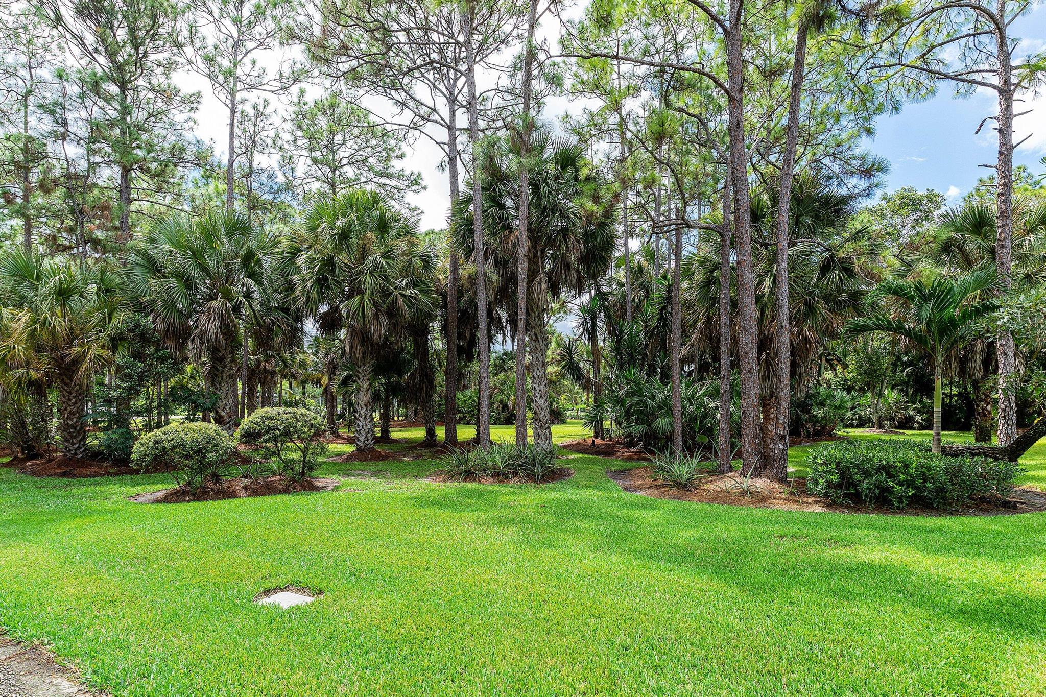 15625 Orange Boulevard