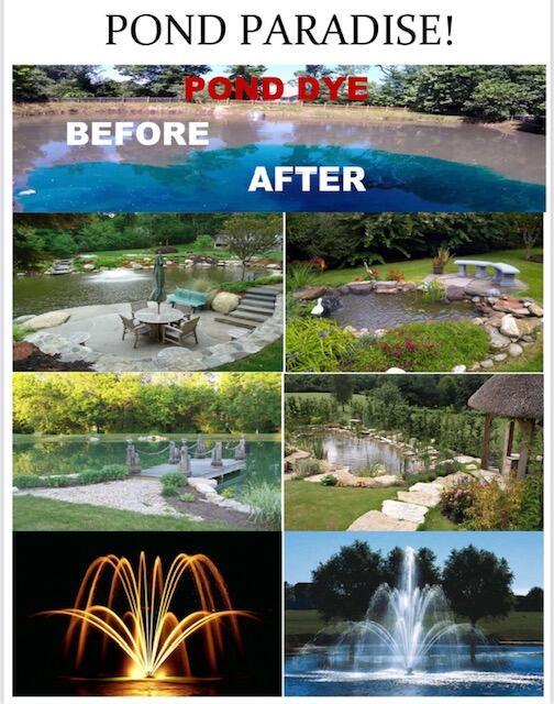 12752 Key Lime Boulevard