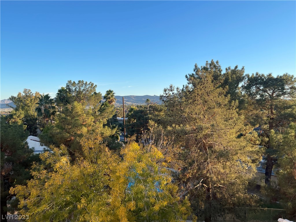 1955 Cutlass Drive none