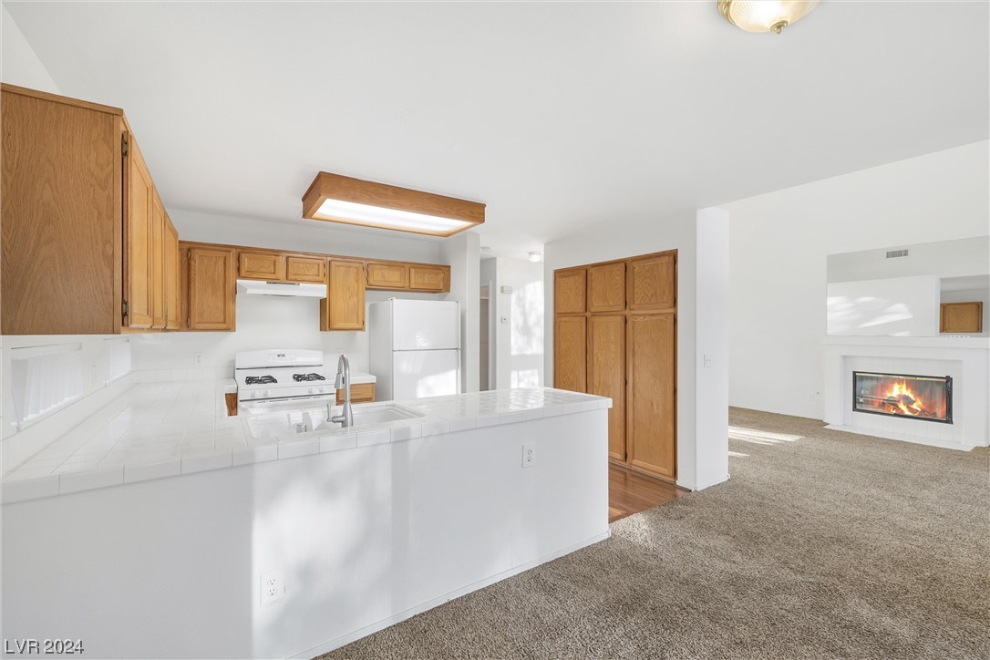 1729 Navajo Lake Way