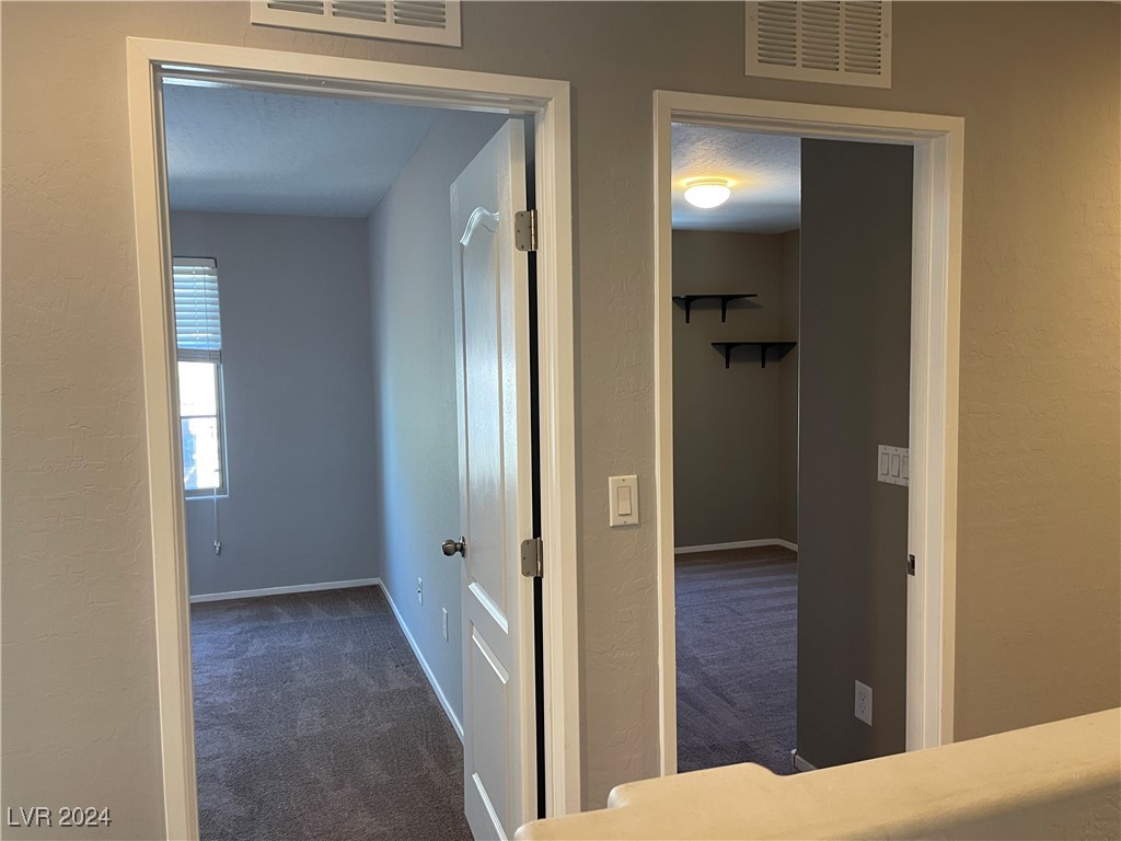 10131 Santa Lorena Court