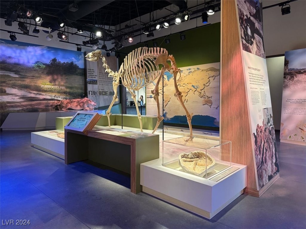 6817 Boulder View Street