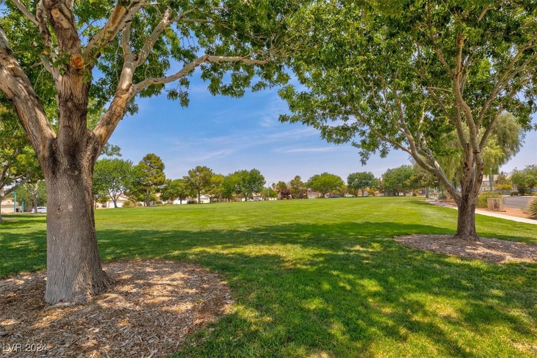 1061 Spotted Bull Court