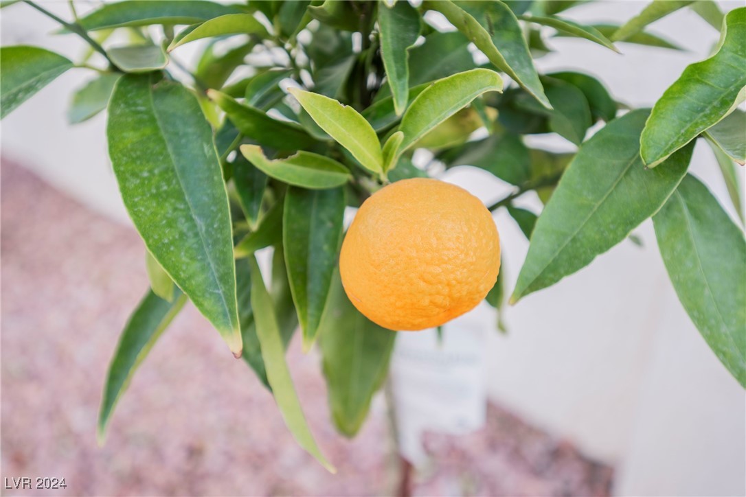 2652 Youngdale Drive