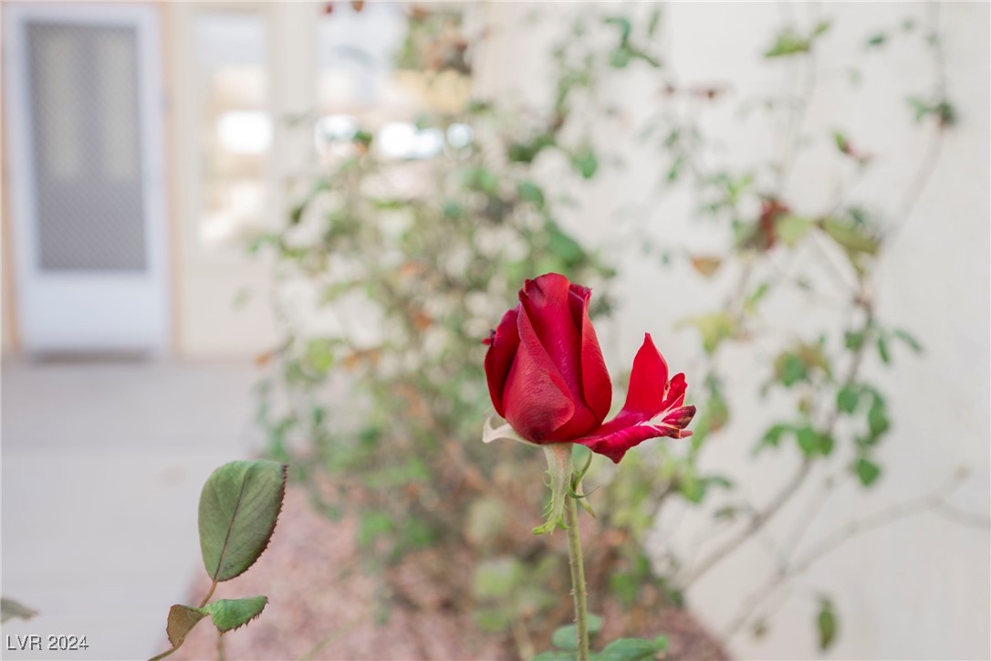 2652 Youngdale Drive