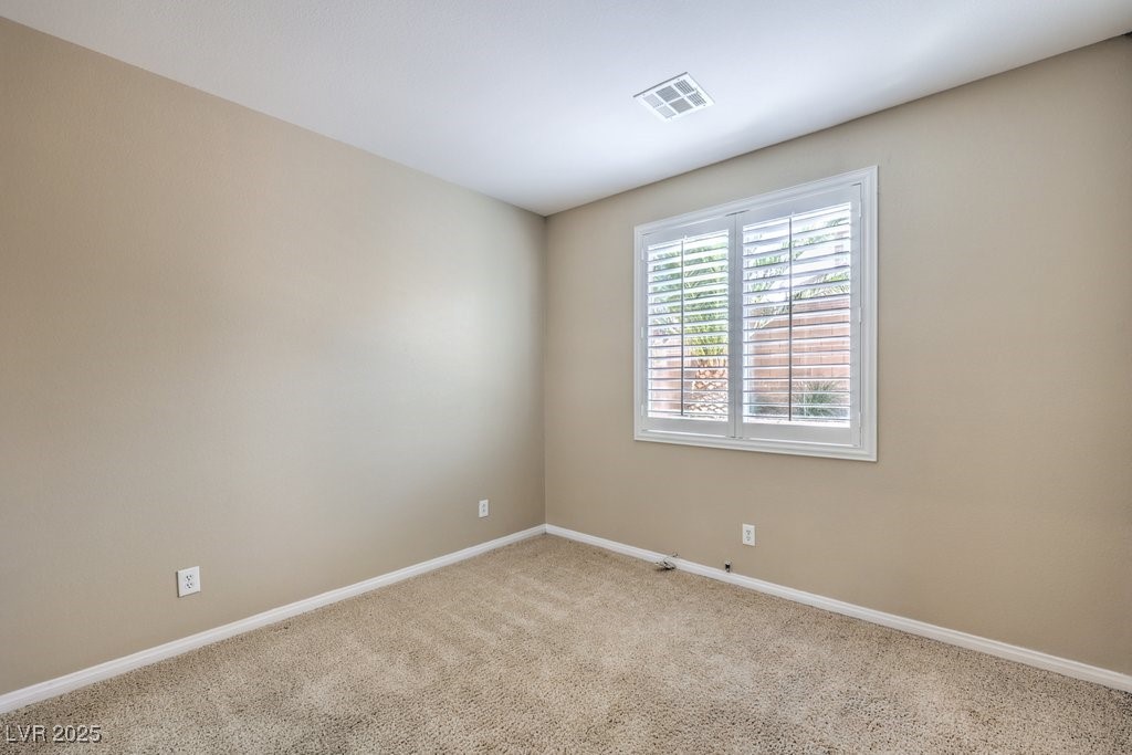 7709 Tiny Tortoise Street