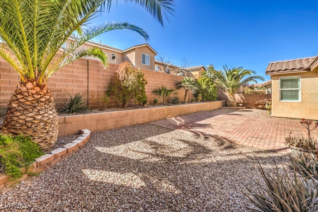 7709 Tiny Tortoise Street