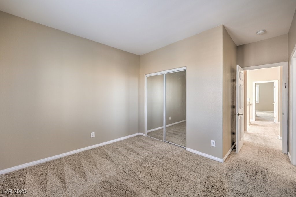 7709 Tiny Tortoise Street