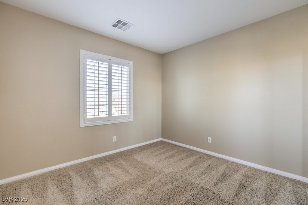 7709 Tiny Tortoise Street