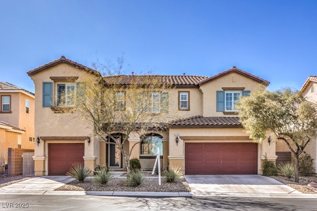 7709 Tiny Tortoise Street
