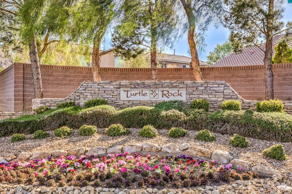 7709 Tiny Tortoise Street