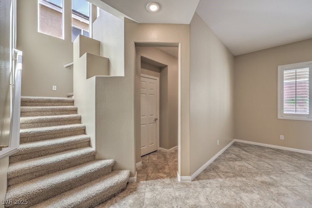 7709 Tiny Tortoise Street