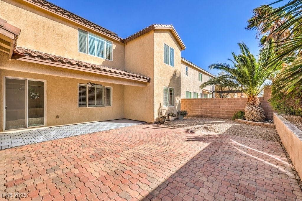 7709 Tiny Tortoise Street