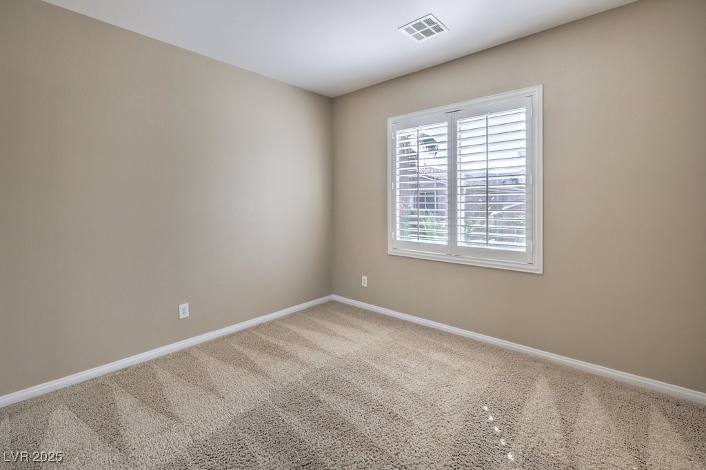 7709 Tiny Tortoise Street