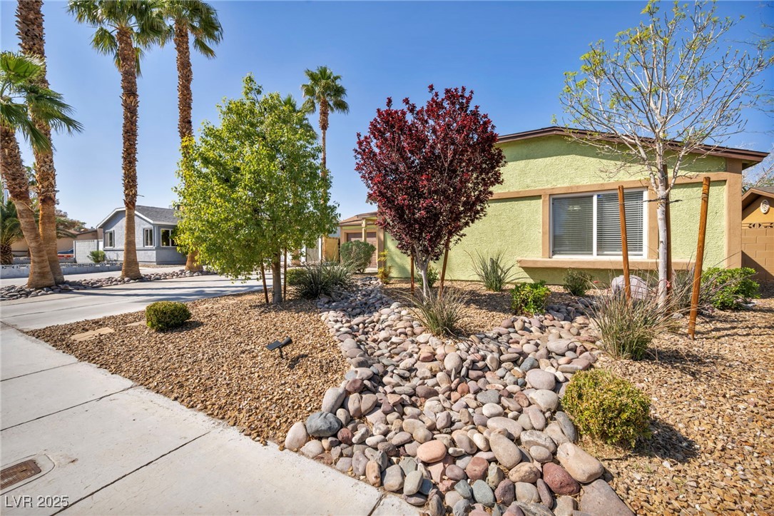 6520 Ouida Way