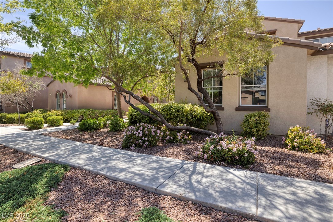 11419 Belmont Lake Drive 104