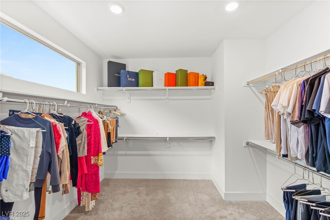 389 Red Feather Peak Court