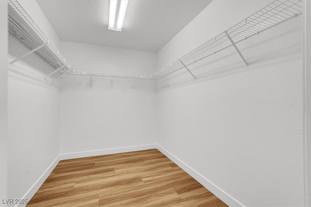 9824 Babys Breath Court