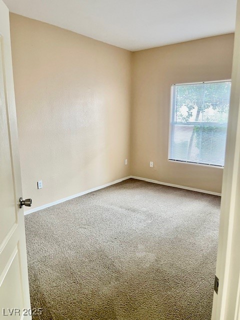 3609 Galatea Street 102