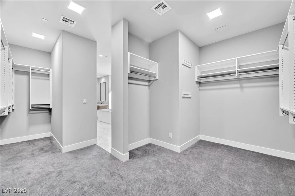 446 Tranquil Peak Court