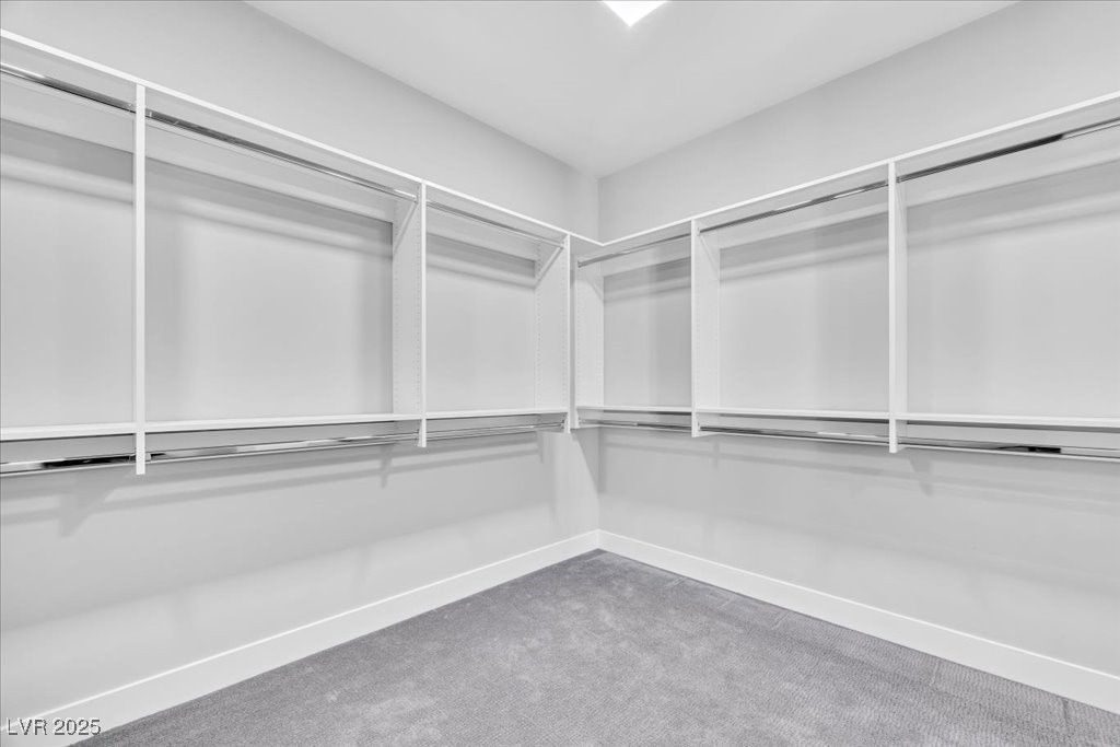 446 Tranquil Peak Court