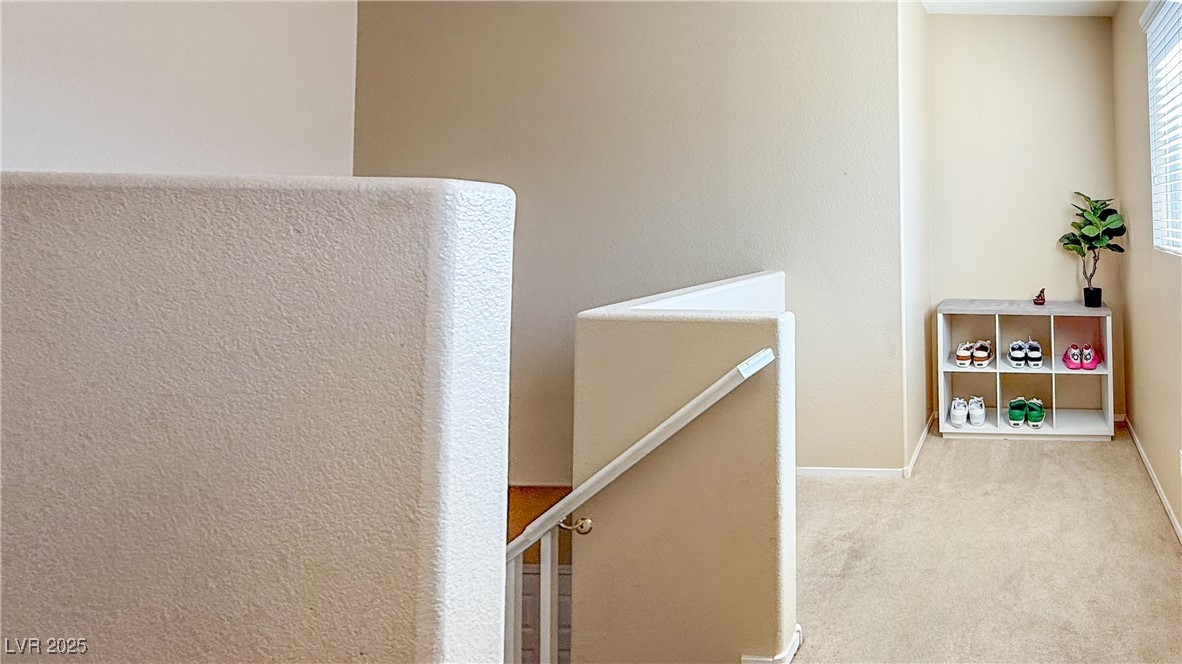 6242 Standing Elm Street