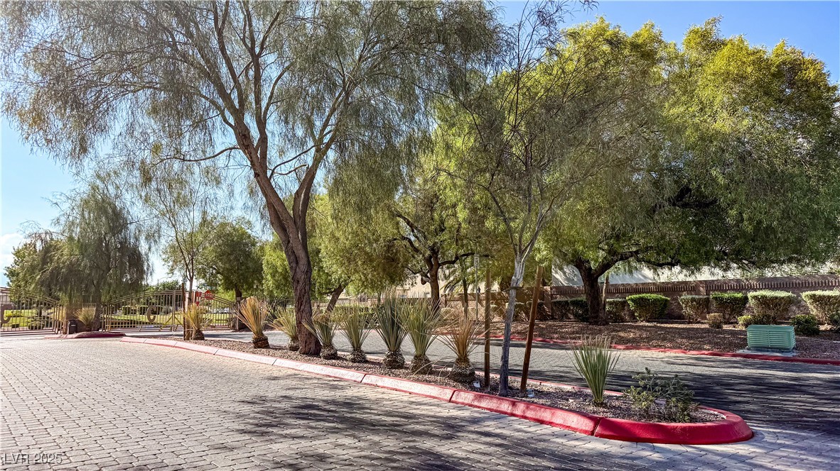 6242 Standing Elm Street