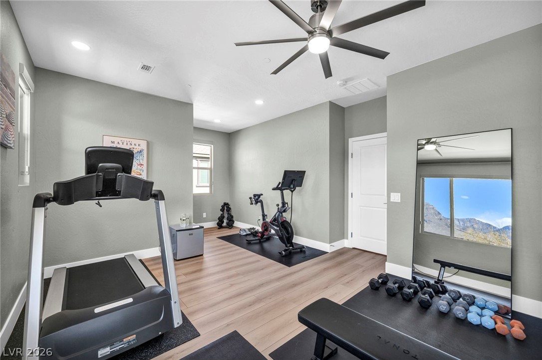 390 Coastal Redwood Street