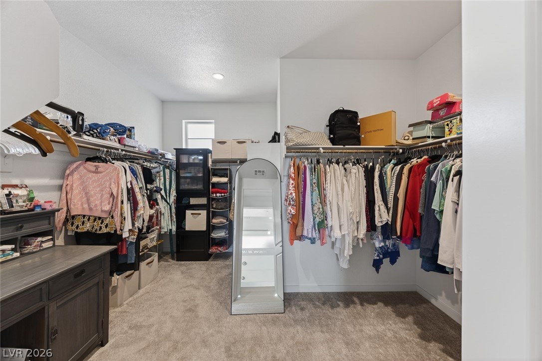 10441 Terra Landings Avenue