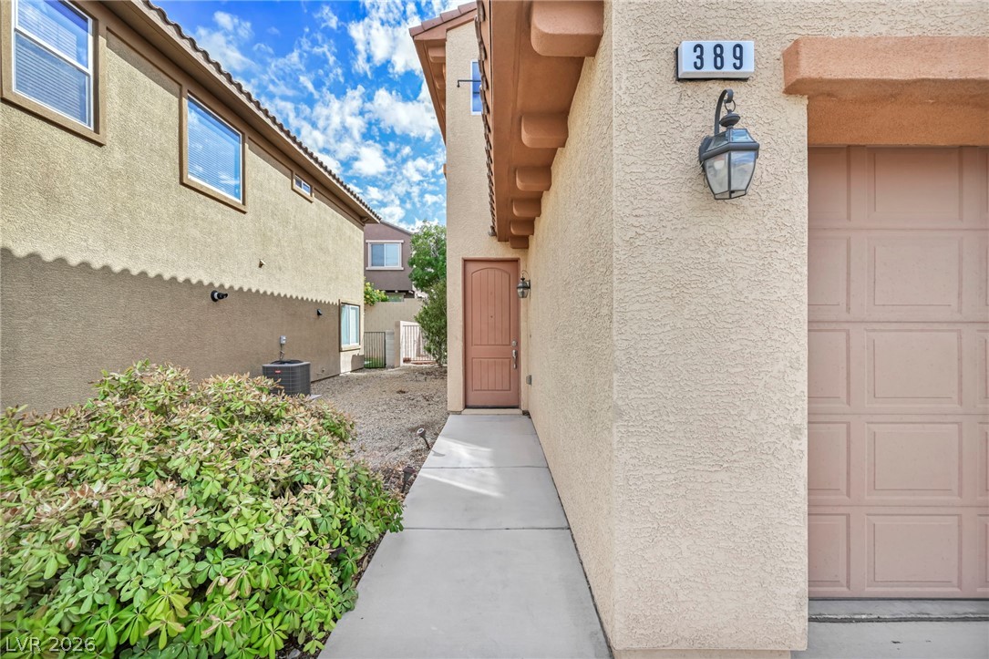 389 Fringe Ruff Drive