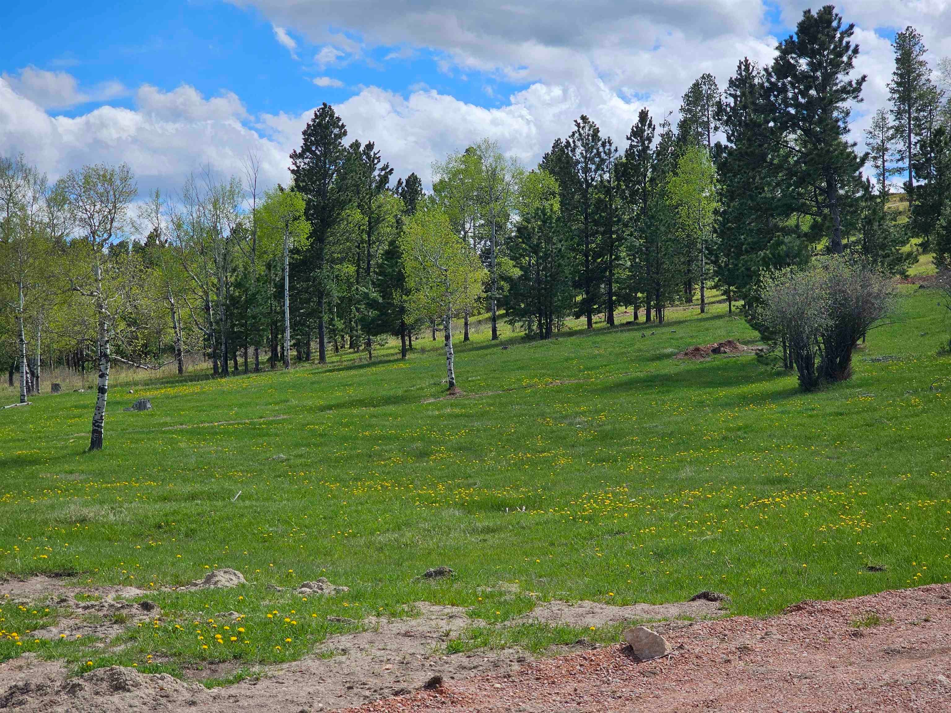22262 Lost Meadows Road