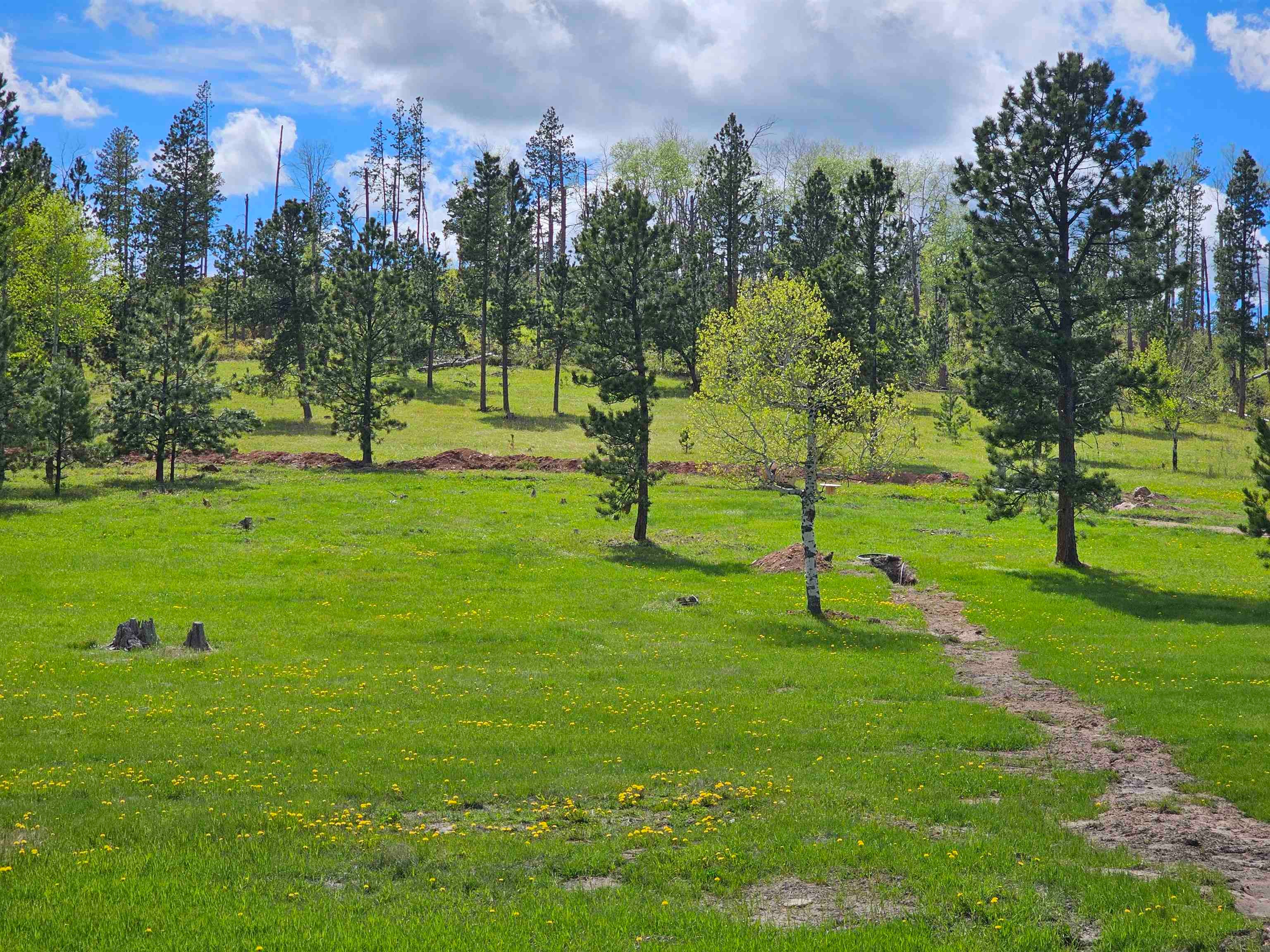 22262 Lost Meadows Road