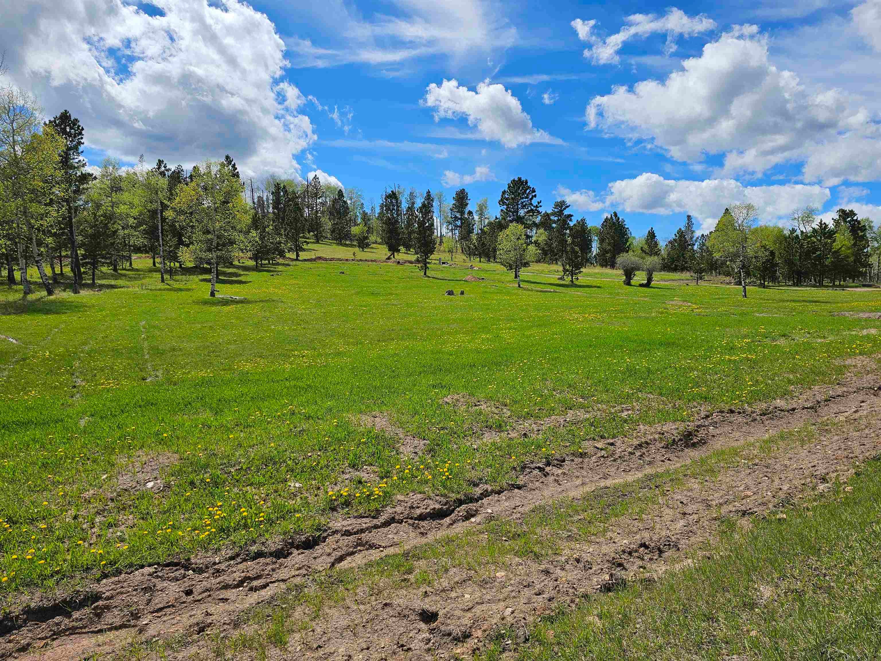 22262 Lost Meadows Road