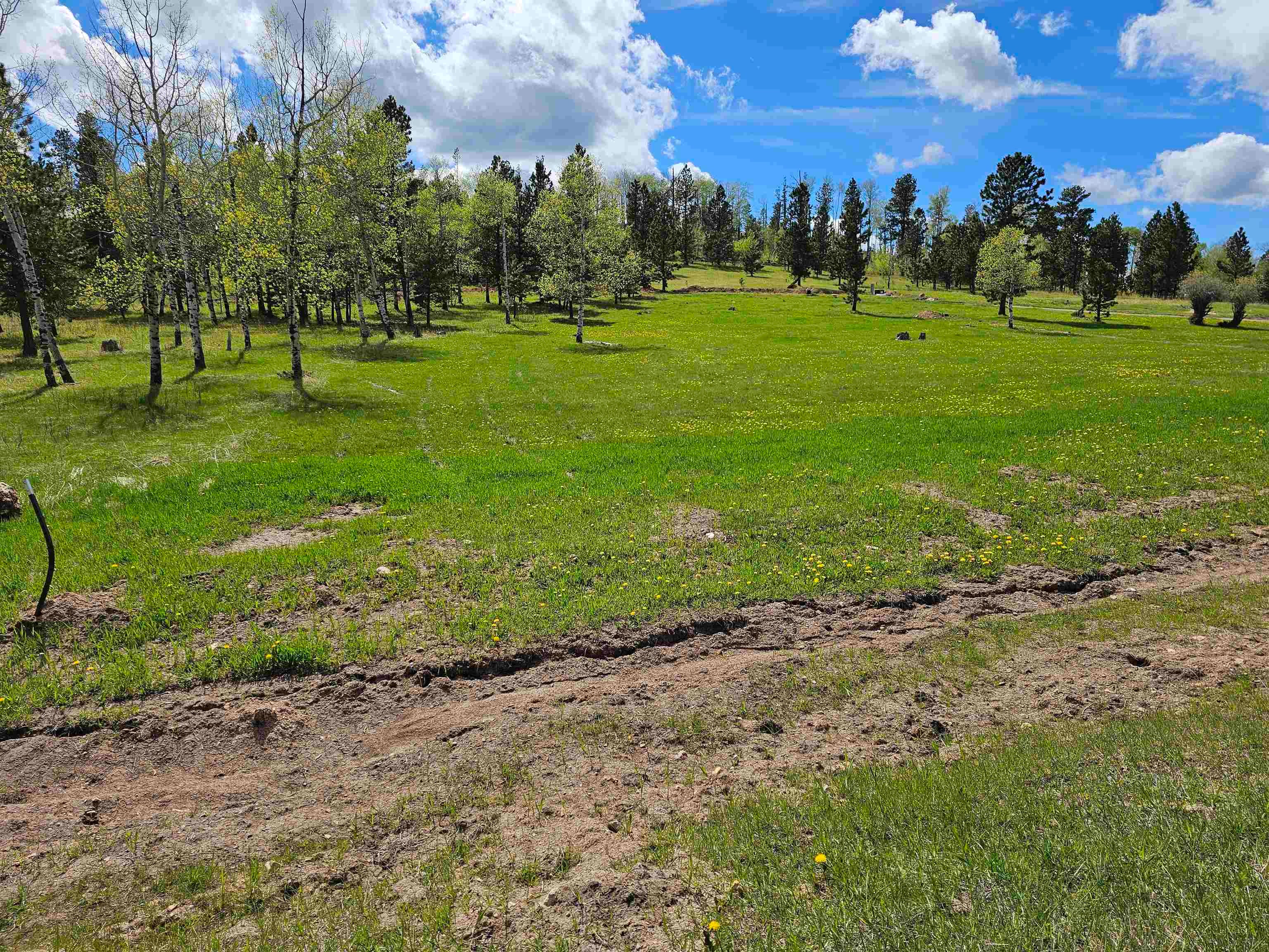 22262 Lost Meadows Road